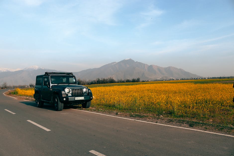 4 killed in Budgam road mishap – Greater Kashmir