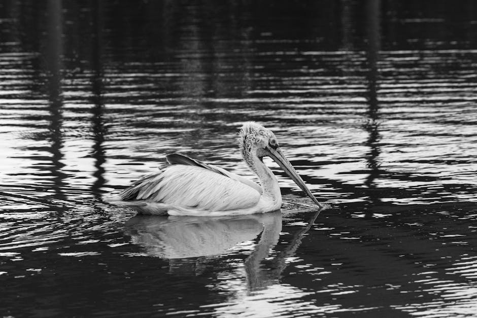 Hong Kong arrests more suspects in fire probe as death toll hits 151 – Reuters