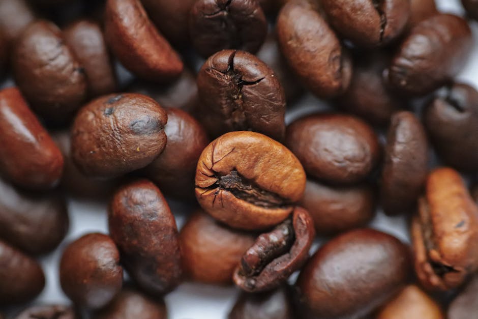 India seeks to boost manufacturing, hit $1.3 trln in exports through deregulation, sources say – Reuters: What You Need To Know