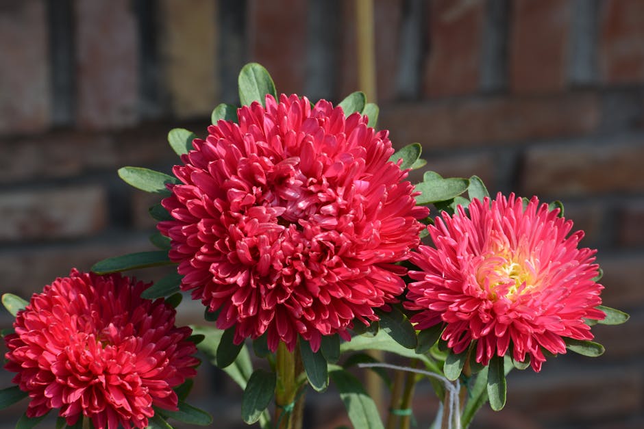 Winter brings to life a ‘silent killer’: Heater-related deaths from Delhi flats to Bihar villages, what doctors say | India News – Hindustan Times: What You Need To Know