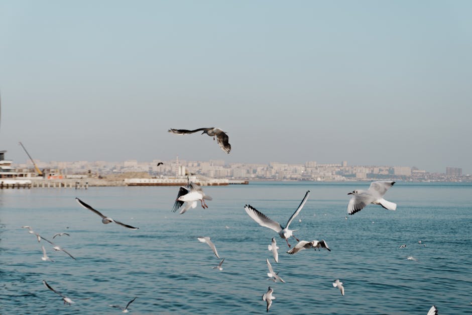 Iran Israel War | Iran sends missiles into Israel, dismisses Trump’s talk of negotiations – The Hindu